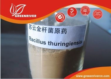 Китай Белая бацилла клопомор порошка thuringiensis для lepidopterous управления личинок поставщик